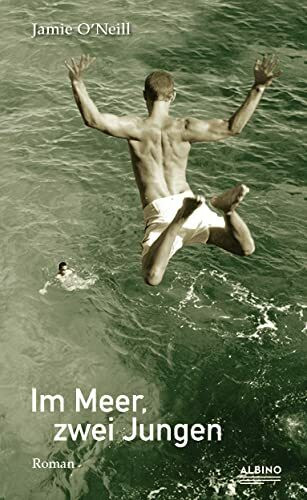 Im Meer, zwei Jungen: Roman