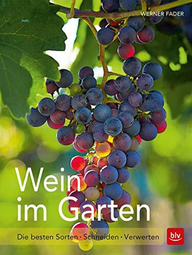 Wein im Garten: Die besten Sorten - Schneiden - Verwerten