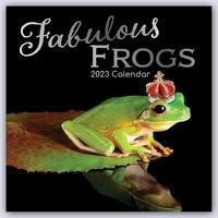 Fabulous Frogs - Fabelhafte Frösche 2023 - 16-Monatskalender