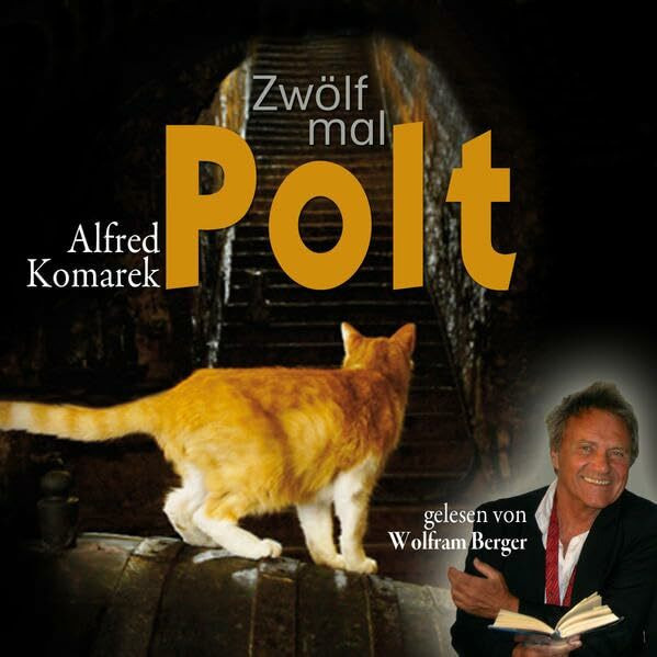 Zwölf mal Polt: Kriminalgeschichten