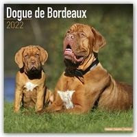 Dogue de Bordeaux - Bordeauxdoggen 2022 - 18-Monatskalender mit freier DogDays-App