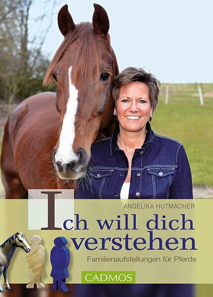 Ich will dich verstehen: Familienaufstellung für Pferde