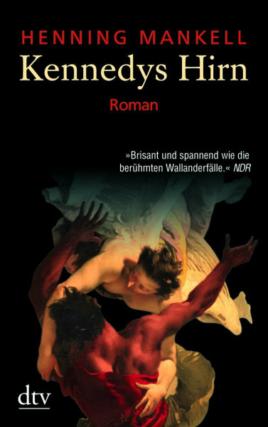 Kennedys Hirn: Roman (dtv Unterhaltung)