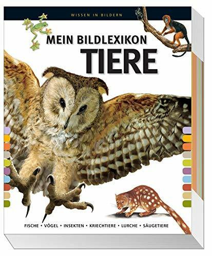 Mein großes Bildlexikon Tiere: Fische, Vögel, Insekten, Kriechtiere, Lurche, Säugetiere.