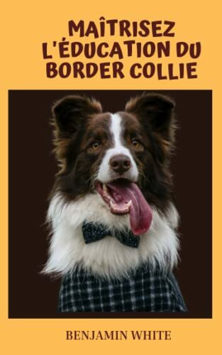 Éduquer un Border Collie : Guide complet pour l'éducation de ton chiot Border Collie Astuces pratiques, entraînement positif et soins essentiels: ... éduquer ton chiot Border Collie avec succès