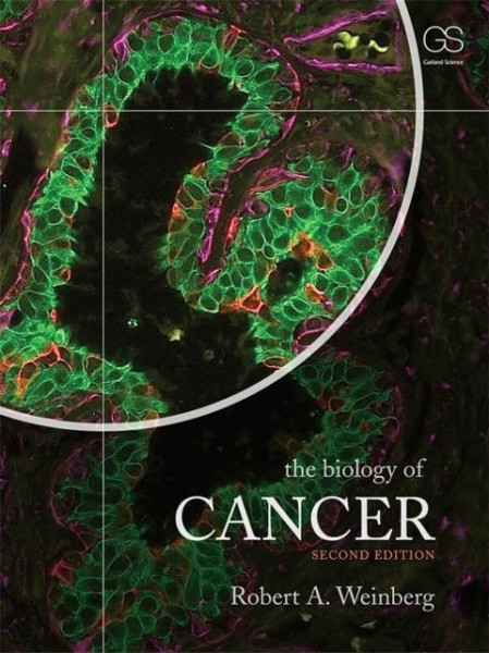 Weinberg, R: BIOLOGY OF CANCER REV/E 2/E