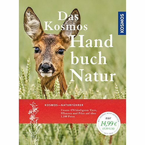 Handbuch Natur: Tiere, Pflanzen und Pilze kennen lernen