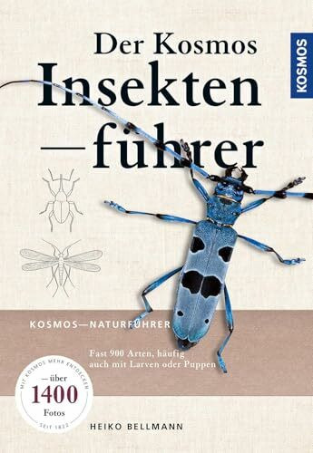 Der KOSMOS Insektenführer: Fast 1000 Arten, häufig auch Raupen oder Puppen