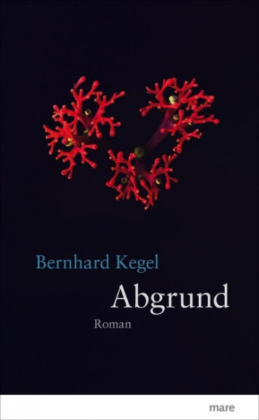 Abgrund