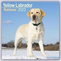 Yellow Labrador Retriever - Gelber Labrador 2023 - 16-Monatskalender