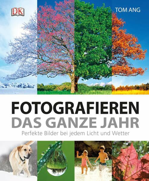 Fotografieren das ganze Jahr: Perfekte Bilder bei jedem Licht und Wetter