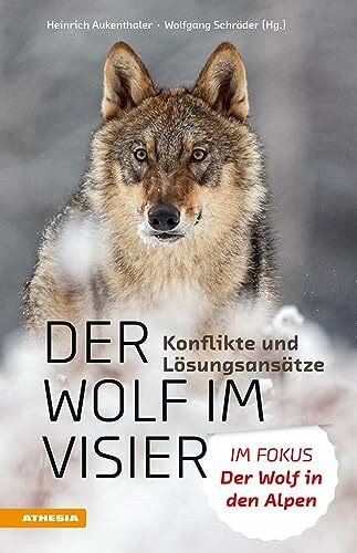 Der Wolf im Visier – Konflikte und Lösungsansätze: Der Wolf in den Alpen: Die 100 wichtigsten Fragen und Antworten: Im Fokus: Der Wolf in den Alpen