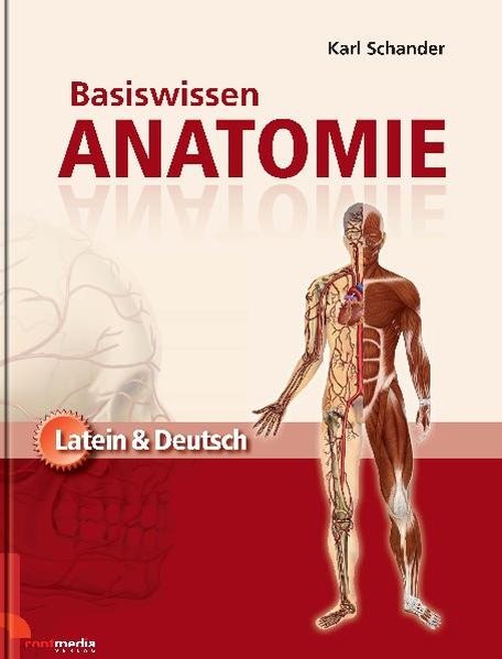 Basiswissen Anatomie: Latein & Deutsch