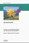 Homöotanik, 4 Bde., Bd.2, Blütenreicher Sommer: Band 2, Blütenreicher Sommer