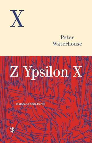 Z Ypsilon X: Roman