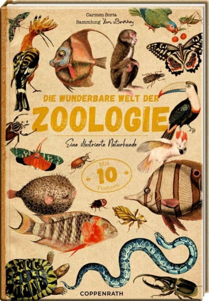 Die wunderbare Welt der Zoologie: Eine illustrierte Naturkunde - Mit 10 herausnehmbaren Postern