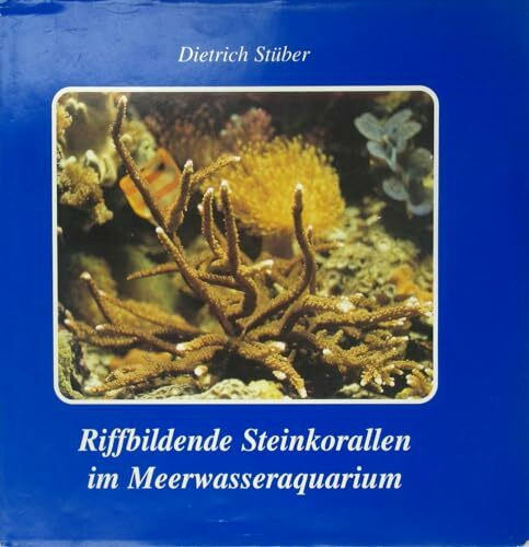 Riffbildende Steinkorallen im Meerwasseraquarium