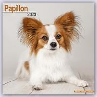 Papillon 2023 - 16-Monatskalender