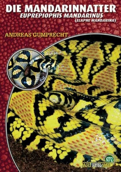 Die Mandarinnatter: Euprepiophis mandarinus bzw. Elaphe mandarina (Buchreihe Art für Art Terraristik)
