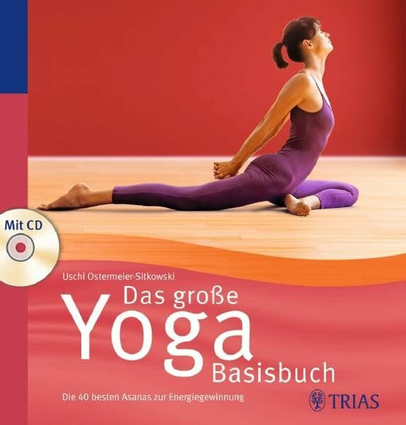 Das große Yoga Basisbuch: Die 40 besten Asanas zur Energiegewinnung