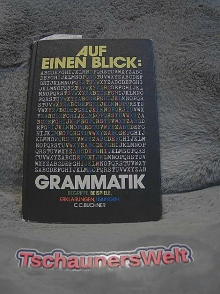 Auf einen Blick: Grammatik: Begriffe - Beispiele - Erklärungen - Übungen
