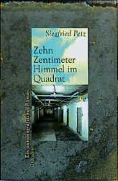 Zehn Zentimeter Himmel im Quadrat: Ein autobiographischer Roman (Edition C - C)