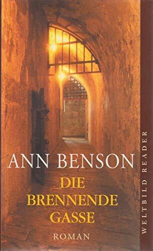 Die brennende Gasse : Roman.