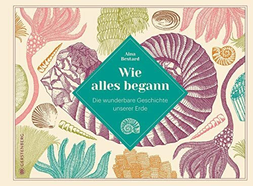 Wie alles begann: Die wunderbare Geschichte unserer Erde