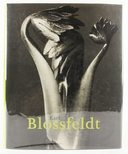 Karl Blossfeldt: 1865-1932