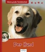 Der Hund