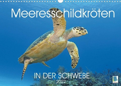 In der Schwebe: Meeresschildkröten (Wandkalender 2022 DIN A3 quer)
