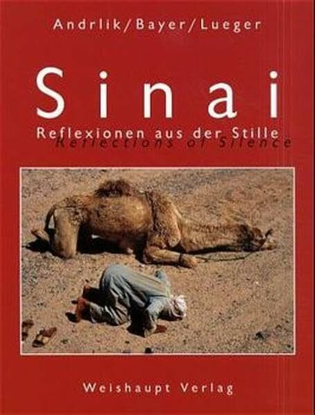 Sinai: Reflexionen aus der Stille