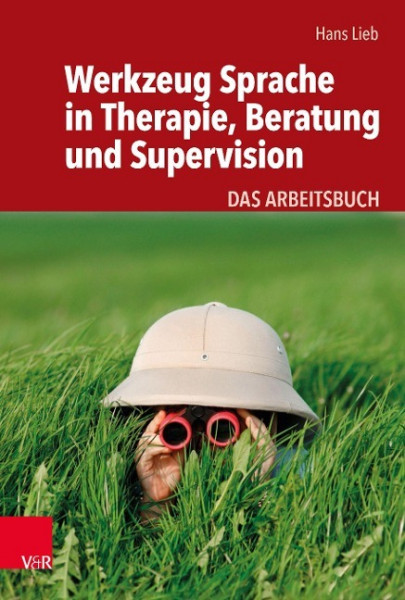 Werkzeug Sprache in Therapie, Beratung und Supervision
