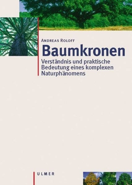 Baumkronen: Verständnis und praktische Bedeutung eines komplexen Naturphänomens: Verständnis, Zusammenhänge und Anwendung