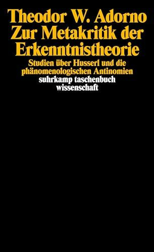 Zur Metakritik der Erkenntnistheorie: Studien über Husserl und die phänomenologischen Antinomien (suhrkamp taschenbuch wissenschaft)