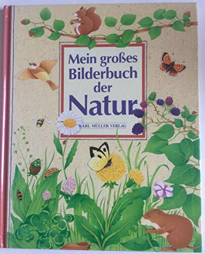 Mein grosses Bilderbuch der Natur