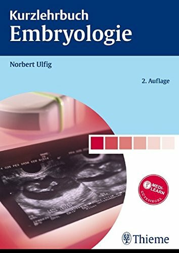 Kurzlehrbuch Embryologie