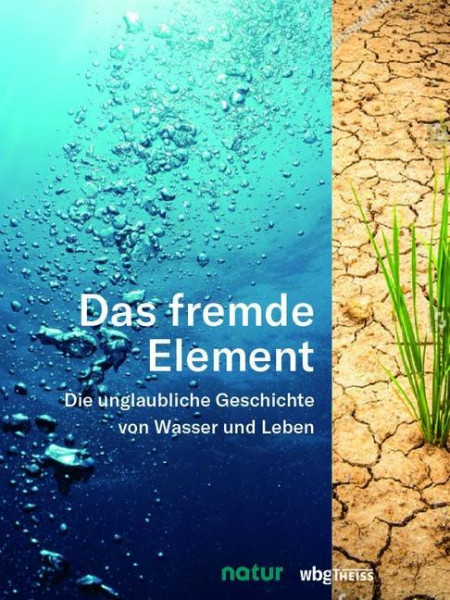 Das fremde Element