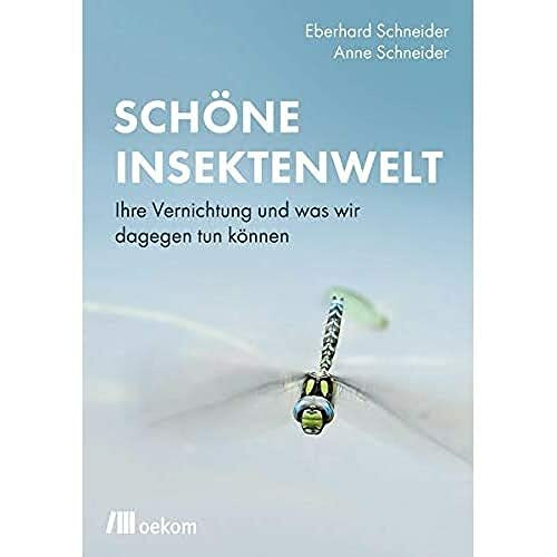 Schöne Insektenwelt: Ihre Vernichtung und was wir dagegen tun können