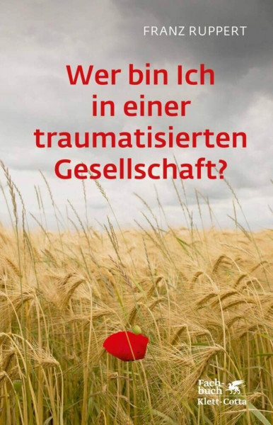 Wer bin ich in einer traumatisierten Gesellschaft?: Wie Täter-Opfer-Dynamiken unser Leben bestimmen und wie wir uns daraus befreien