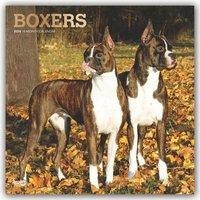 Boxers - Boxer 2020 - 18-Monatskalender mit freier DogDays-App