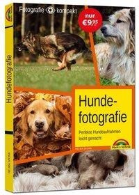 Hundefotografie - das perfekte Hunde Foto