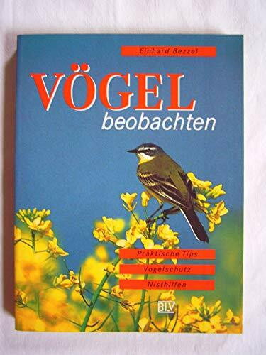 Vögel beobachten