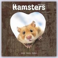 Hamsters - Hamster 2023 - 16-Monatskalender