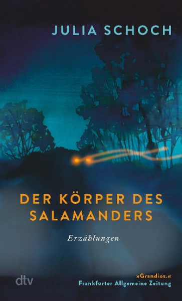 Der Körper des Salamanders