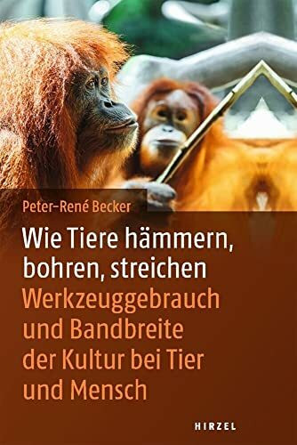 Wie Tiere hämmern, bohren, streichen: Werkzeuggebrauch im Tierreich: Werkzeuggebrauch und Bandbreite der Kultur bei Tier und Mensch