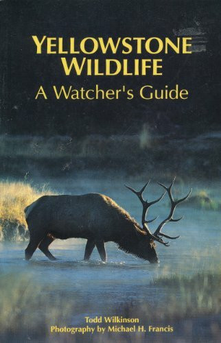 Yellowstone Wildlife: A Watcher's Guide (Wildlife watcher's guide)