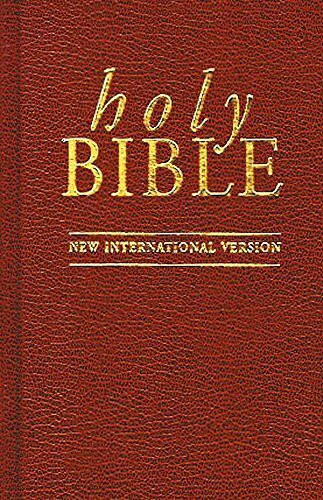 New International Version (Bible)