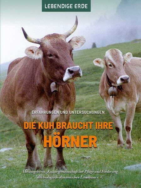 Die Kuh braucht ihre Hörner: Erfahrungen und Untersuchungen