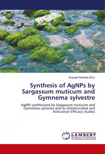 Synthesis of AgNPs by Sargassum muticum and Gymnema sylvestre